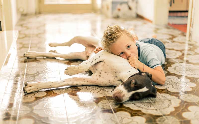dog and child on clean floor