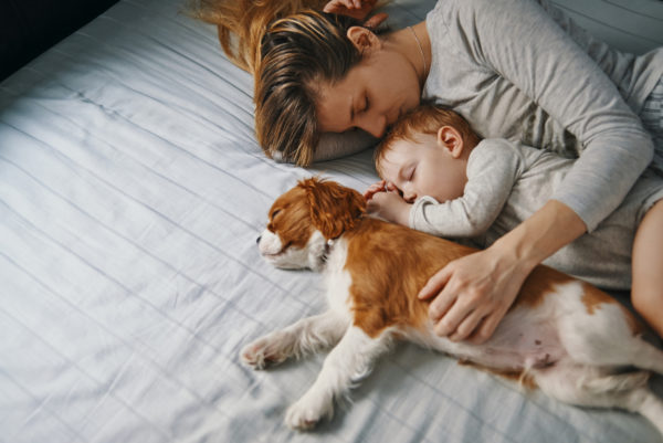 dog sleeping with mom and baby