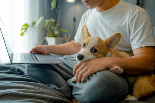 man stay at home with his dog