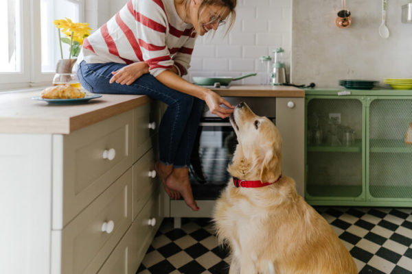 young woman and her dog in a kitchen at the morning