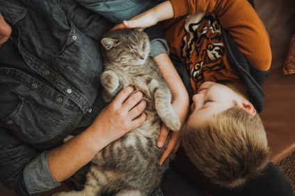 Mother and son playing with a cat