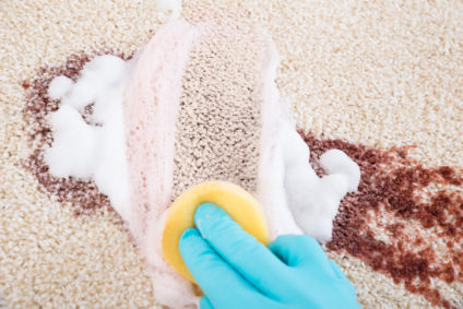 Person Cleaning Carpet With Sponge