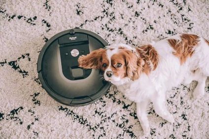 dog laying in vacuum