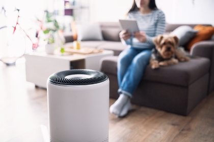 home air cleaner