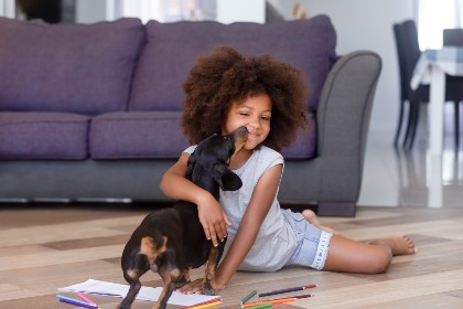 girl playing with dachshund puppy